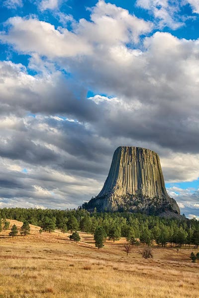 Wyoming: Wyoming, Devils Tower National Monument, Devils Tower by Jamie & Judy Wild