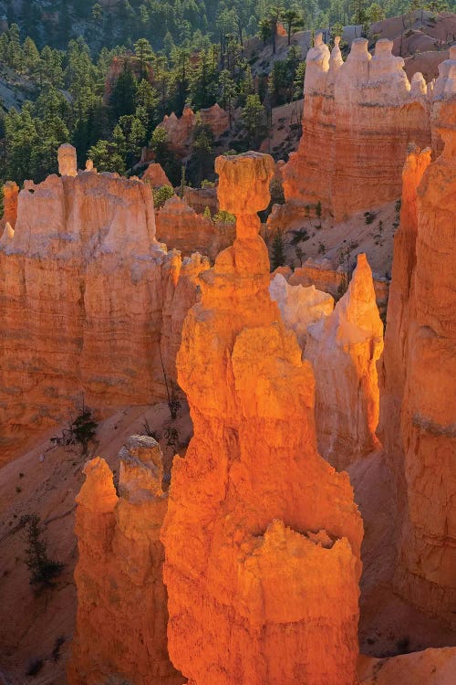 Utah, Bryce Canyon National Park. Thor's Hammer by Jamie & Judy Wild wall art