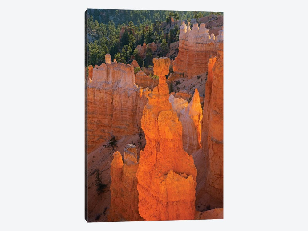 Utah, Bryce Canyon National Park. Thor's Hammer by Jamie & Judy Wild 1-piece Canvas Wall Art