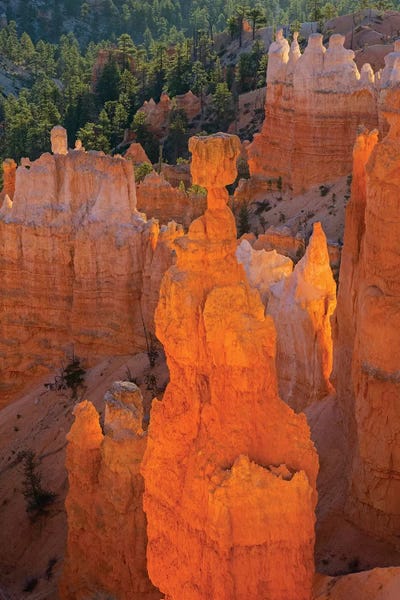 Utah, Bryce Canyon National Park. Thor's Hammer