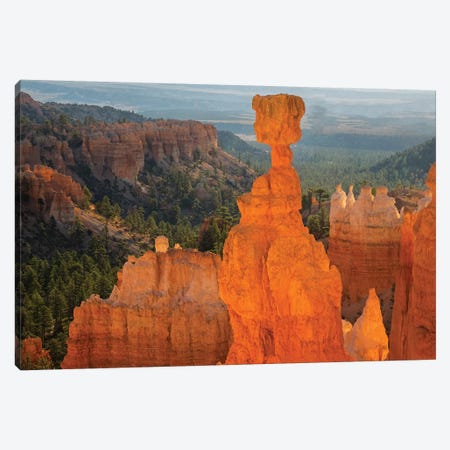 Utah, Bryce Canyon National Park. Thor's Hammer Canvas Print #JJW43} by Jamie & Judy Wild Canvas Print