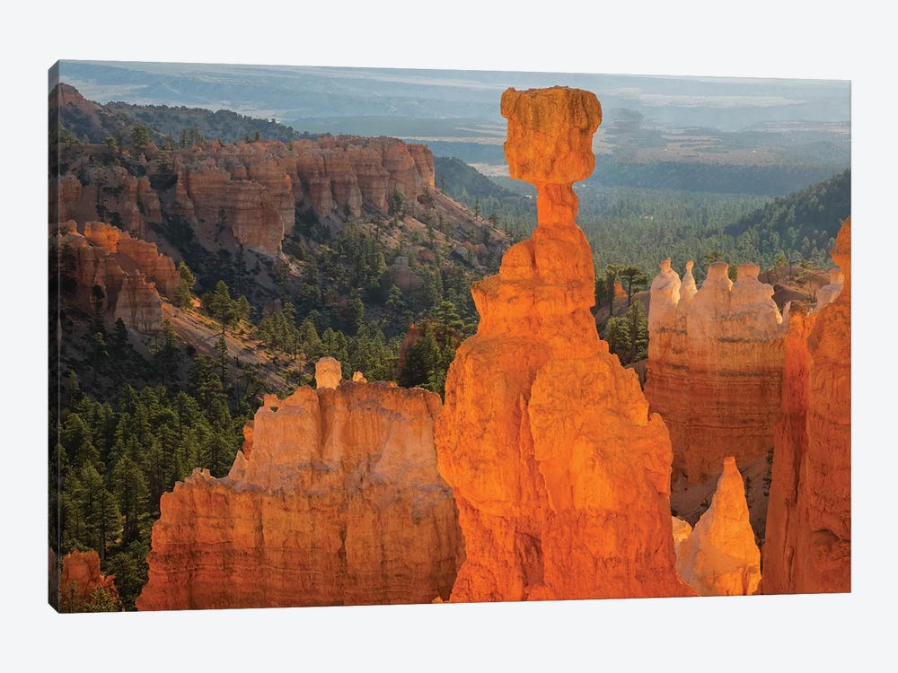 Utah, Bryce Canyon National Park. Thor's Hammer by Jamie & Judy Wild 1-piece Canvas Print