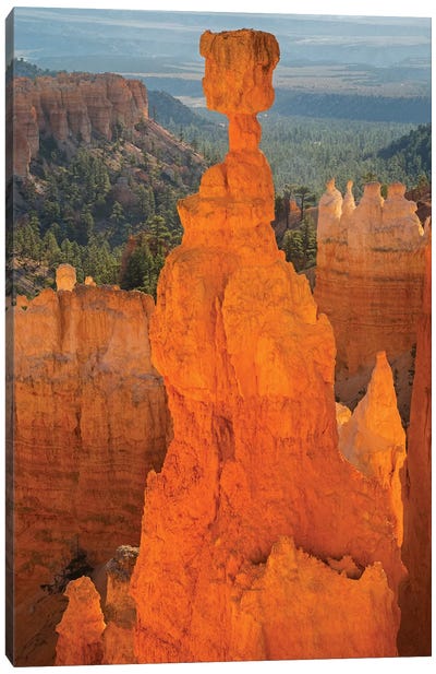 Utah, Bryce Canyon National Park. Thor's Hammer Canvas Art Print - Bryce Canyon National Park