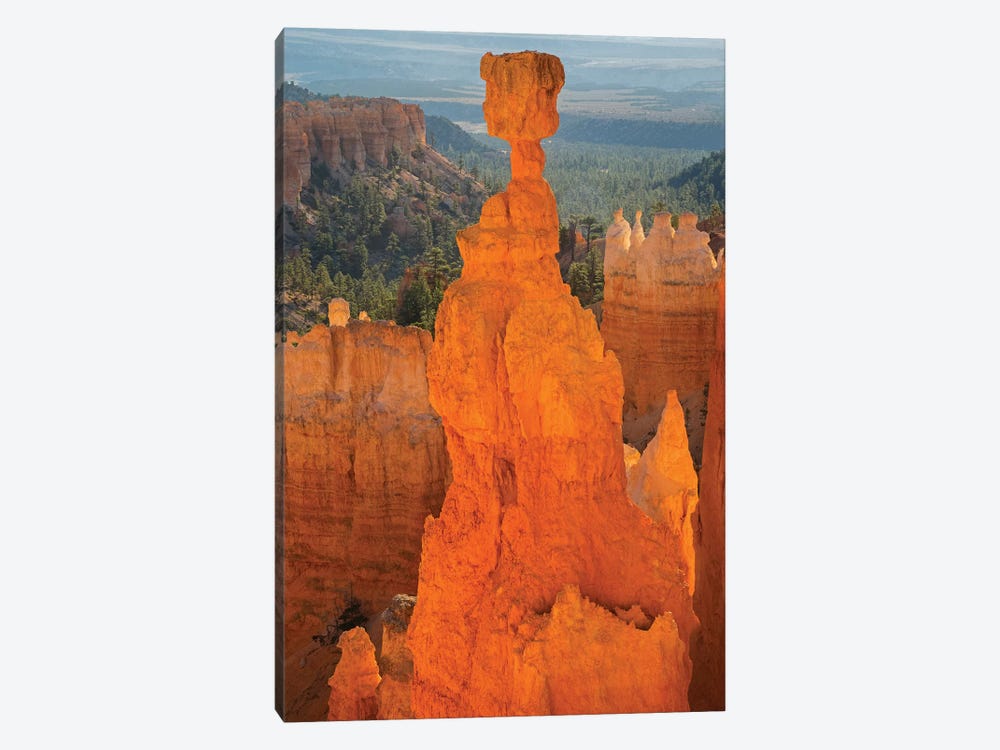 Utah, Bryce Canyon National Park. Thor's Hammer by Jamie & Judy Wild 1-piece Canvas Wall Art