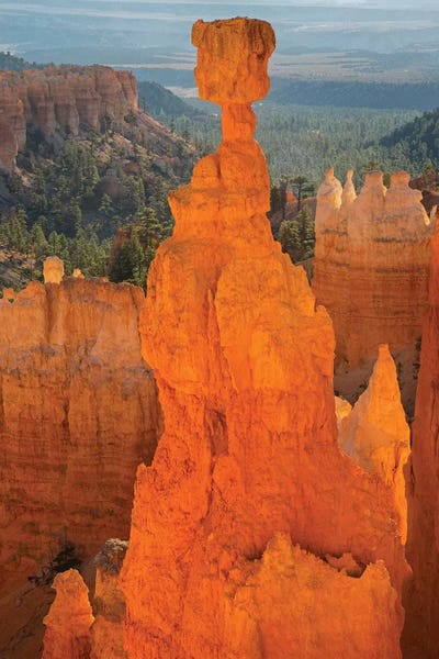 Bryce Canyon National Park: Thor's Hammer I. Utah, Bryce Canyon National Park. by Jamie & Judy Wild