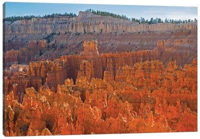 Utah, Bryce Canyon National Park. View of canyon with hoodoos Canvas Art Print - Canyon Art