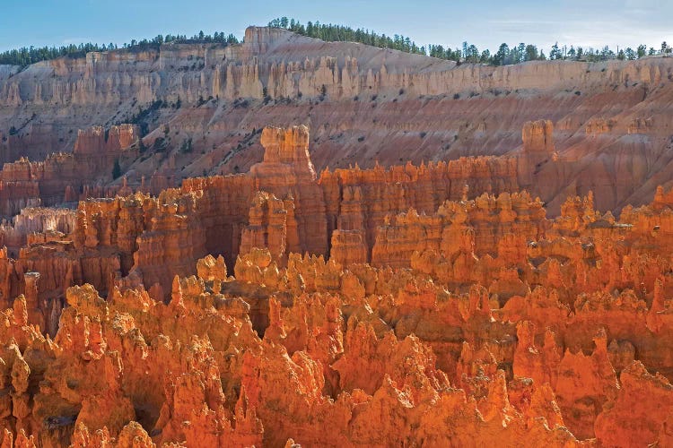 Utah, Bryce Canyon National Park. View of canyon with hoodoos