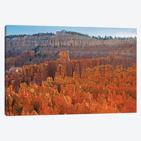 Utah, Bryce Canyon National Park. View of canyon with hoodoos Canvas Print #JJW46} by Jamie & Judy Wild Canvas Art