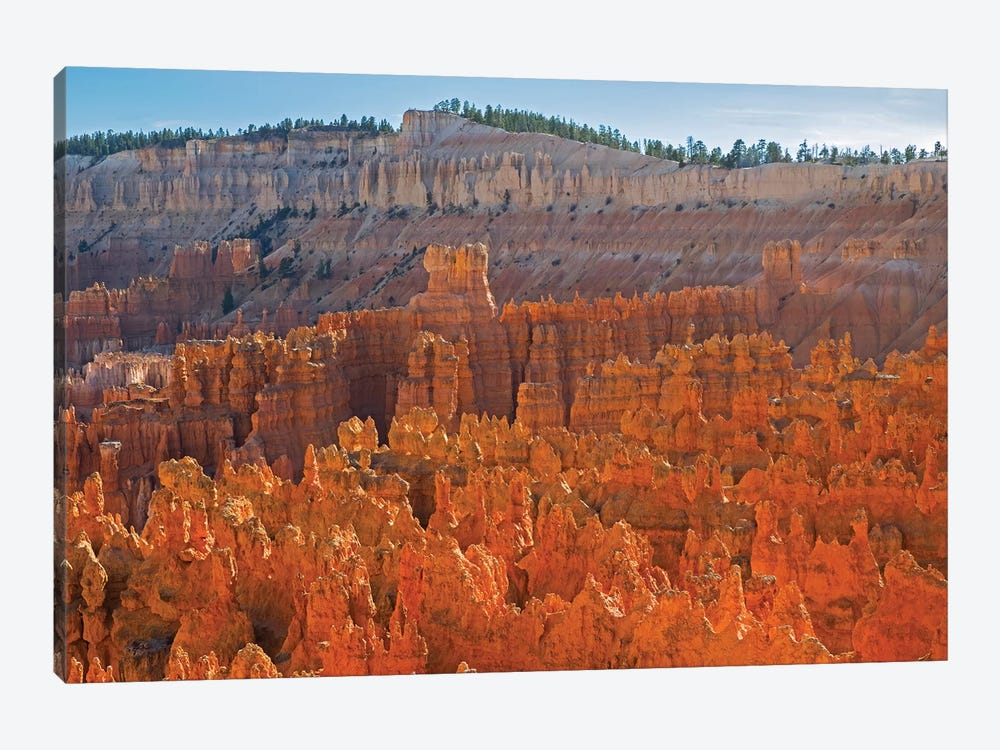 Utah, Bryce Canyon National Park. View of canyon with hoodoos by Jamie & Judy Wild 1-piece Canvas Artwork