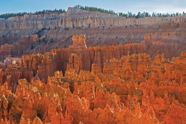 Utah, Bryce Canyon National Park. View of canyon with hoodoos