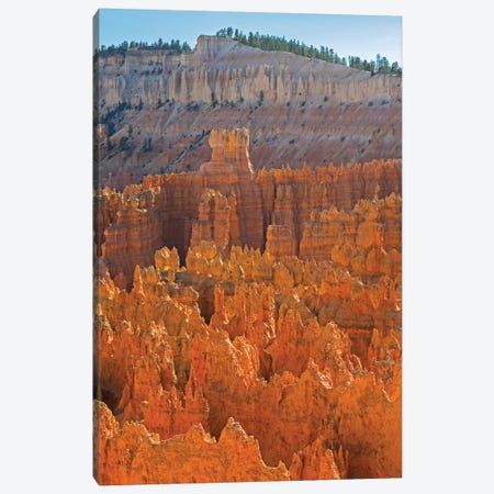 Utah, Bryce Canyon National Park. View of canyon with hoodoos Canvas Print #JJW47} by Jamie & Judy Wild Canvas Art
