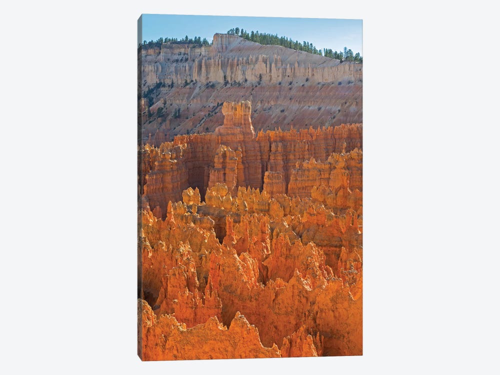 Utah, Bryce Canyon National Park. View of canyon with hoodoos by Jamie & Judy Wild 1-piece Art Print