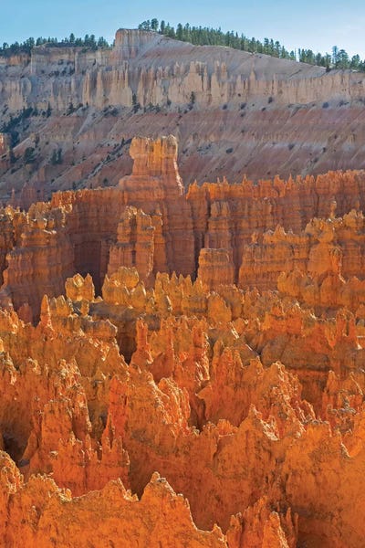 View of canyon with hoodoos I. Utah, Bryce Canyon National Park.
