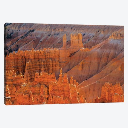 Utah, Bryce Canyon National Park. View of canyon with hoodoos Canvas Print #JJW48} by Jamie & Judy Wild Art Print