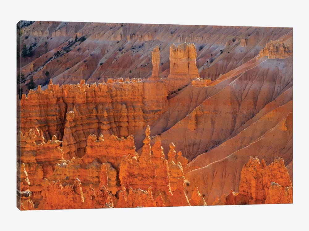 Utah, Bryce Canyon National Park. View of canyon with hoodoos 1-piece Canvas Artwork