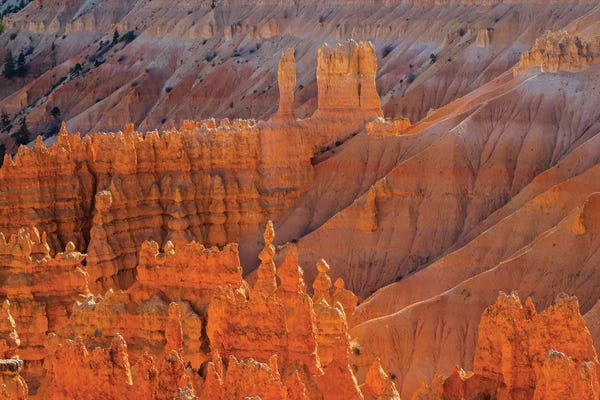 View of canyon with hoodoos III. Utah, Bryce Canyon National Park.