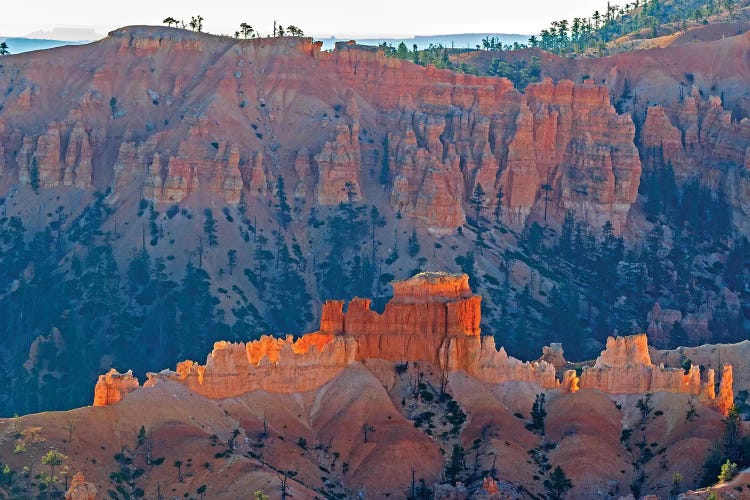 Utah, Bryce Canyon National Park. View of canyon with hoodoos