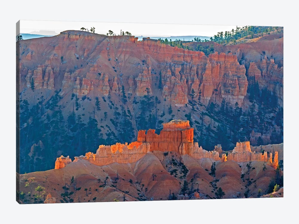 Utah, Bryce Canyon National Park. View of canyon with hoodoos by Jamie & Judy Wild 1-piece Art Print