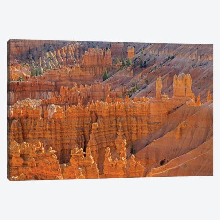 Utah, Bryce Canyon National Park. View of canyon with hoodoos Canvas Print #JJW50} by Jamie & Judy Wild Canvas Wall Art