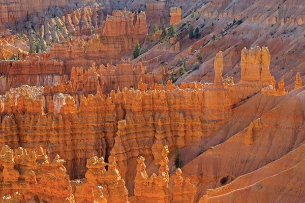 View of canyon with hoodoos II. Utah, Bryce Canyon National Park.