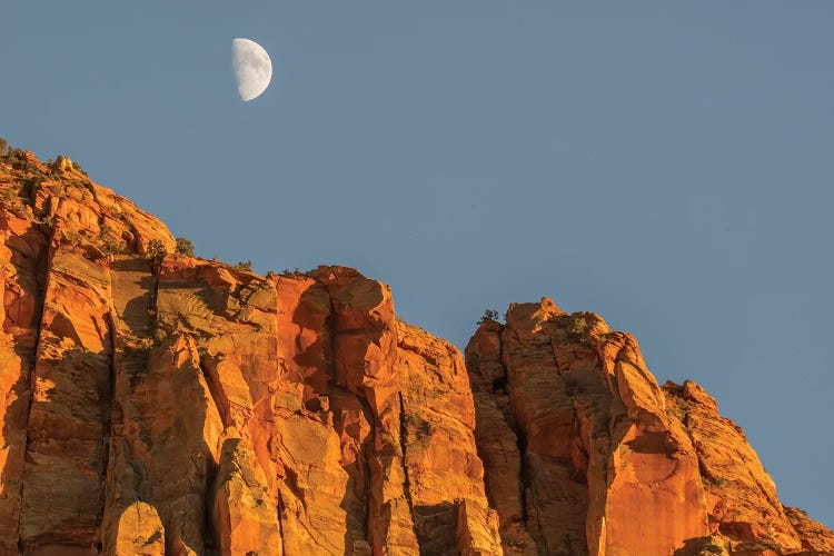 Utah, Zion National Park, Moon over The Watchman