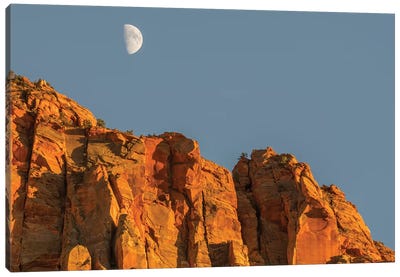 Utah, Zion National Park, Moon over The Watchman Canvas Art Print