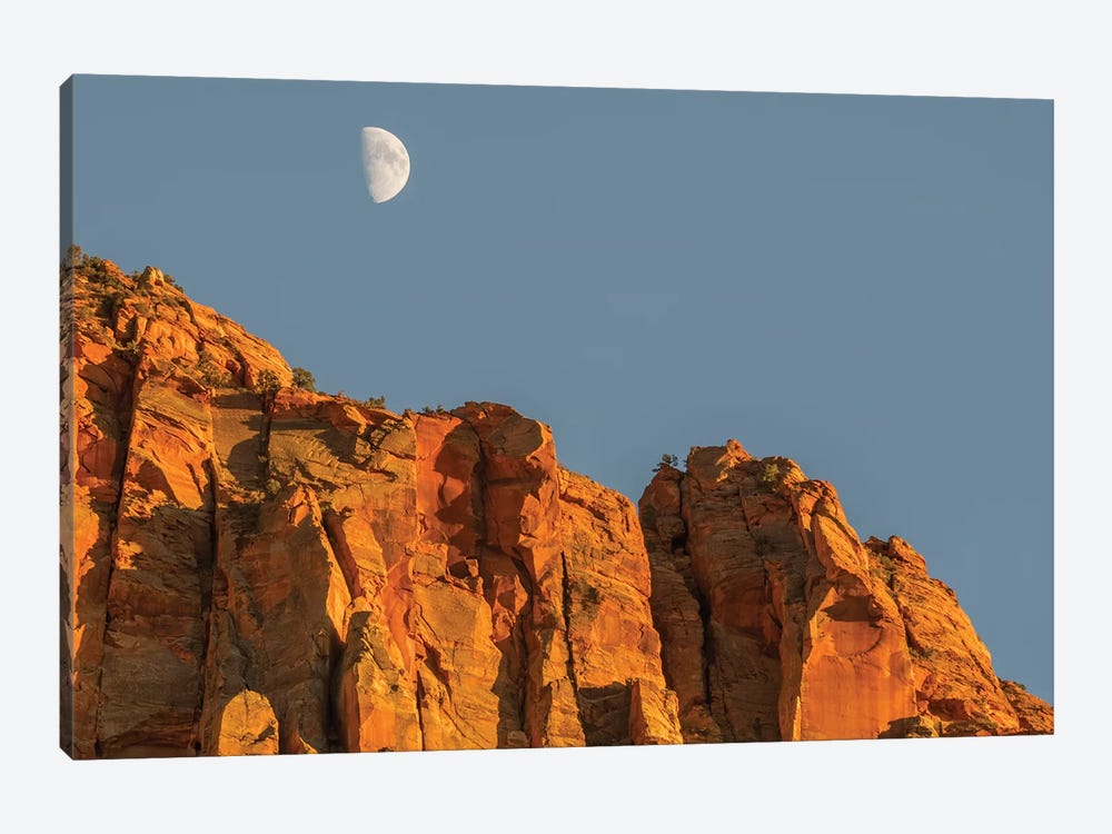 Utah, Zion National Park, Moon over The Watchman by Jamie & Judy Wild 1-piece Canvas Artwork