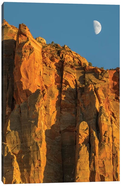 Utah, Zion National Park, Moon over The Watchman Canvas Art Print - Canyon Art