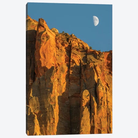 Utah, Zion National Park, Moon over The Watchman Canvas Print #JJW52} by Jamie & Judy Wild Canvas Artwork