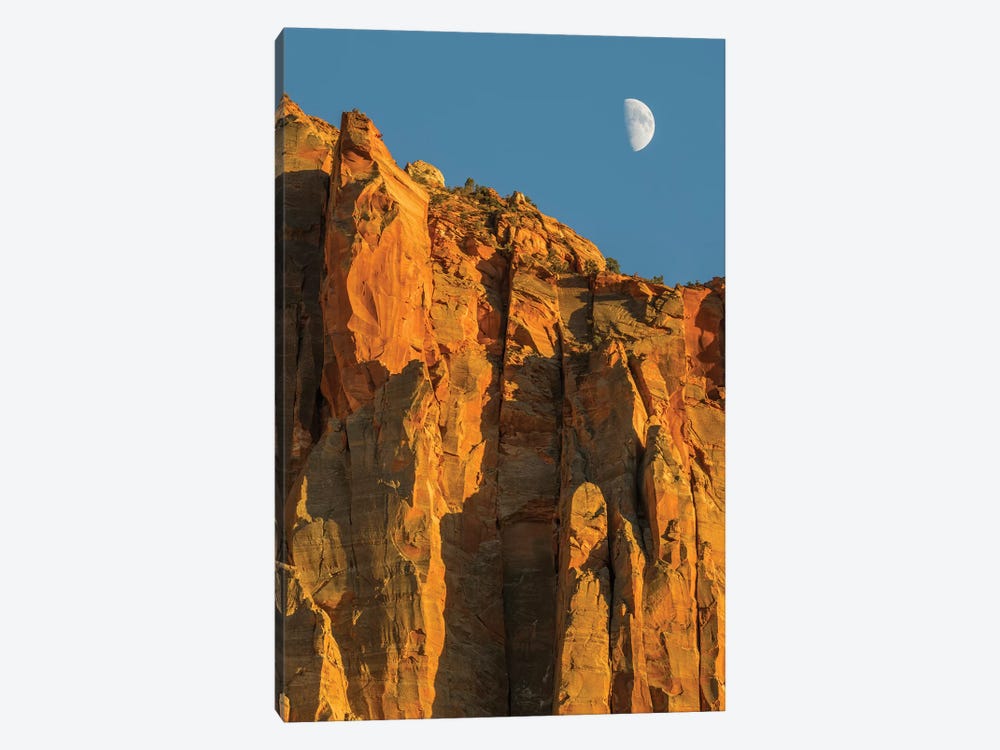 Utah, Zion National Park, Moon over The Watchman by Jamie & Judy Wild 1-piece Canvas Art Print