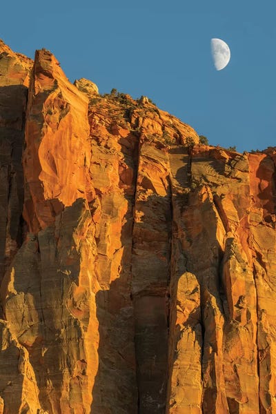 Utah Zion National Park Moon Over The Watchman Portrait