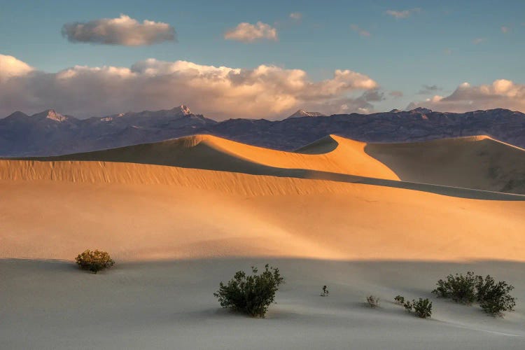 USA, California. Death Valley National Park, Mesquite Flats Sand Dunes, blowing sand.