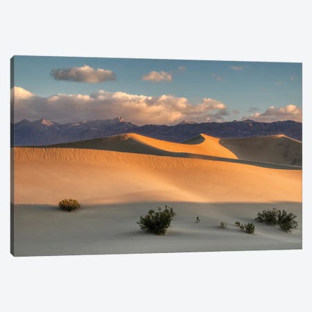 USA, California. Death Valley National Park, Mesquite Flats Sand Dunes, blowing sand. Canvas Print #JJW53} by Jamie & Judy Wild Canvas Wall Art