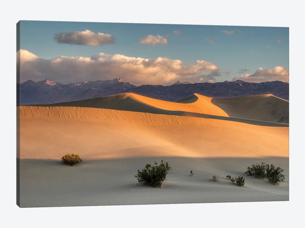 USA, California. Death Valley National Park, Mesquite Flats Sand Dunes, blowing sand. by Jamie & Judy Wild 1-piece Canvas Art