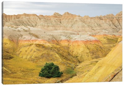 South Dakota, Badlands National Park Badlands Rock Formations, Yellow Mounds Canvas Art Print - Badlands National Park Art