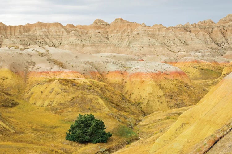 South Dakota, Badlands National Park Badlands Rock Formations, Yellow Mounds