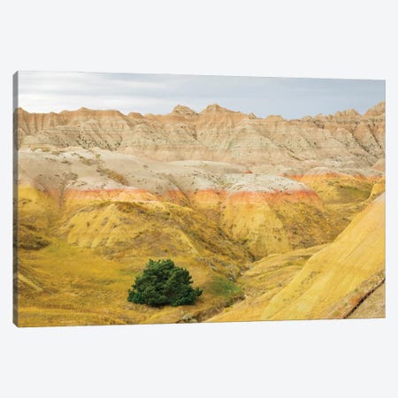 South Dakota, Badlands National Park Badlands Rock Formations, Yellow Mounds Canvas Print #JJW60} by Jamie & Judy Wild Canvas Art Print