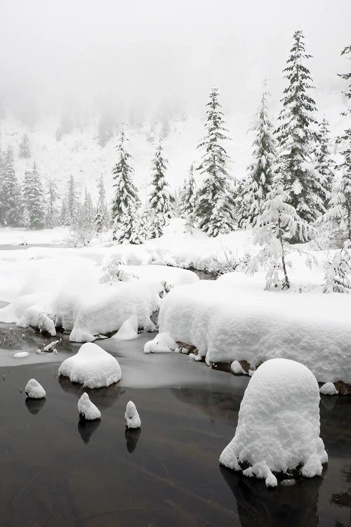 Washington State, Central Cascades Winter Scene At Granite Lake