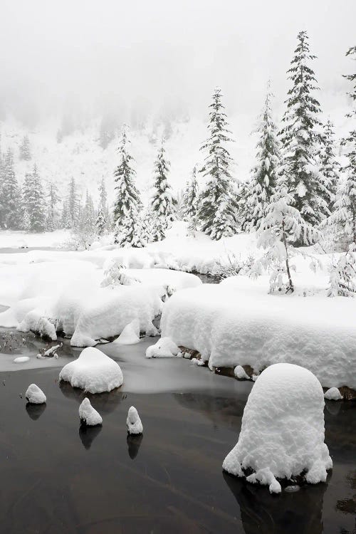 Washington State, Central Cascades Winter Scene At Granite Lake by Jamie & Judy Wild wall art