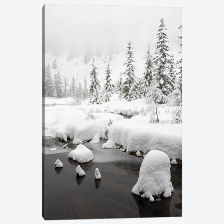 Washington State, Central Cascades Winter Scene At Granite Lake Canvas Print #JJW61} by Jamie & Judy Wild Canvas Print