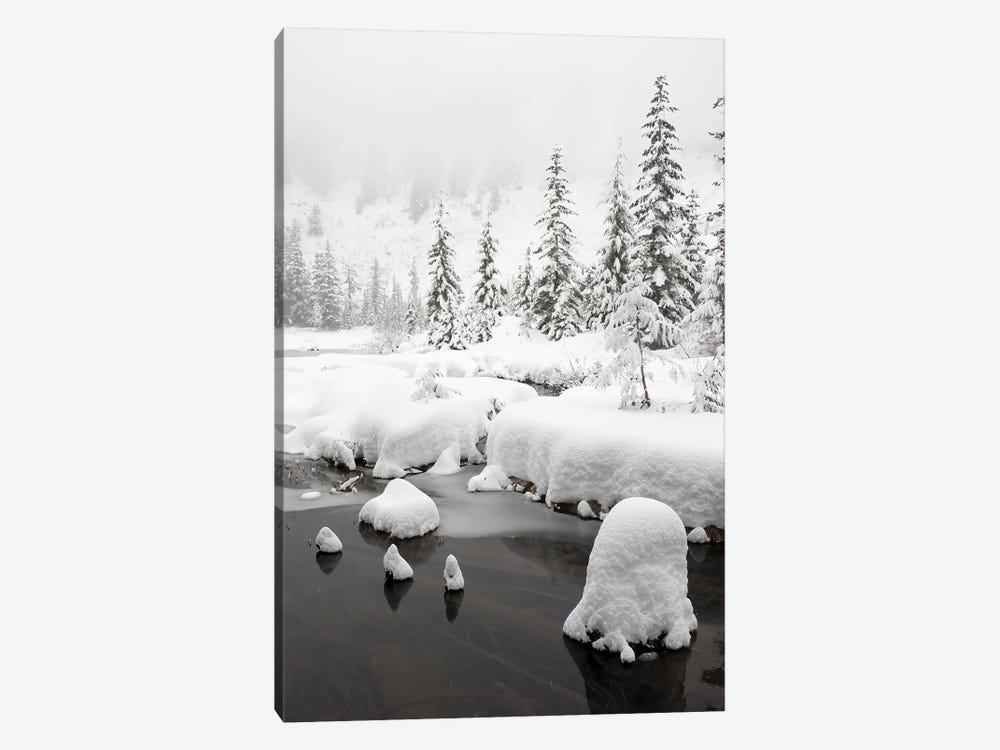 Washington State, Central Cascades Winter Scene At Granite Lake by Jamie & Judy Wild 1-piece Art Print