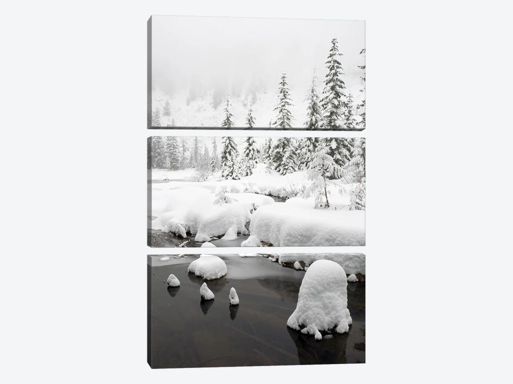 Washington State, Central Cascades Winter Scene At Granite Lake by Jamie & Judy Wild 3-piece Canvas Print