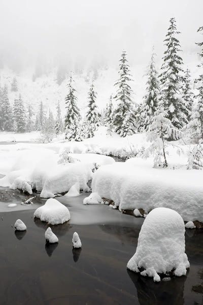 Glaciers & Icebergs: Washington State, Central Cascades Winter Scene At Granite Lake by Jamie & Judy Wild