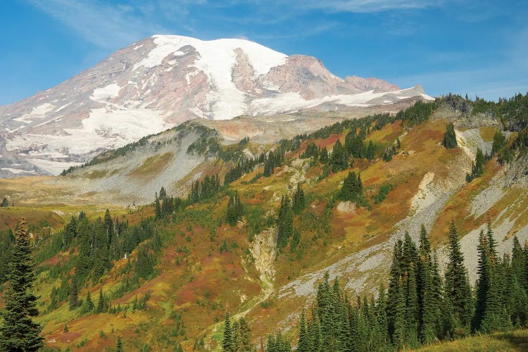 USA, Washington State, Mount Rainier National Park. Mount Rainier And Fall Color, View From Skyline Trail