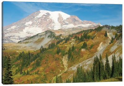 USA, Washington State, Mount Rainier National Park. Mount Rainier And Fall Color, View From Skyline Trail Canvas Art Print - Jamie & Judy Wild