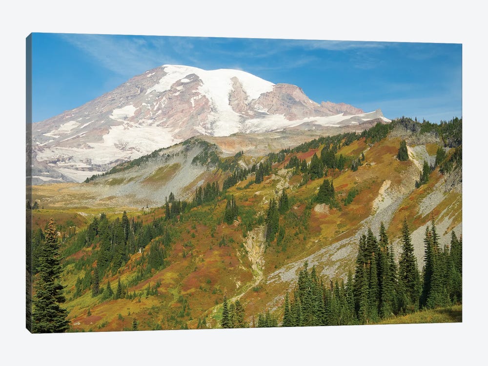 USA, Washington State, Mount Rainier National Park. Mount Rainier And Fall Color, View From Skyline Trail by Jamie & Judy Wild 1-piece Canvas Artwork