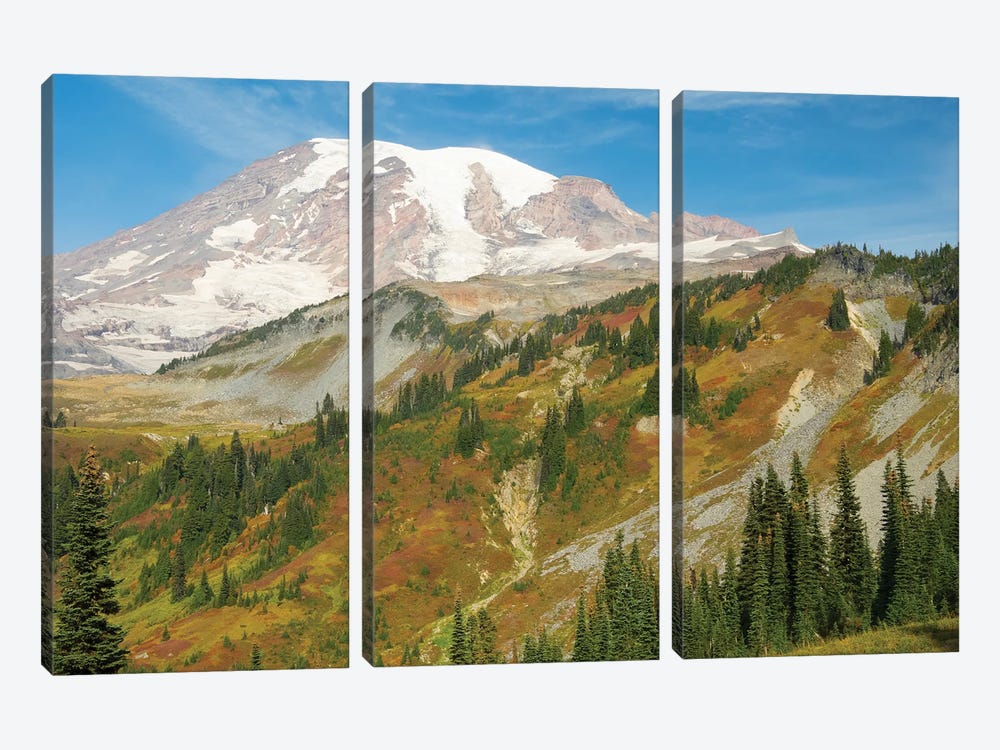 USA, Washington State, Mount Rainier National Park. Mount Rainier And Fall Color, View From Skyline Trail by Jamie & Judy Wild 3-piece Canvas Art