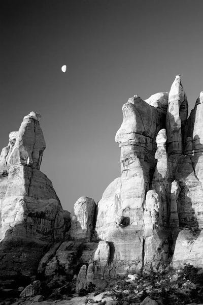 Utah, Canyonlands National Park, The Needles. Moon Setting Over Rock Pinnacles At Chesler Park