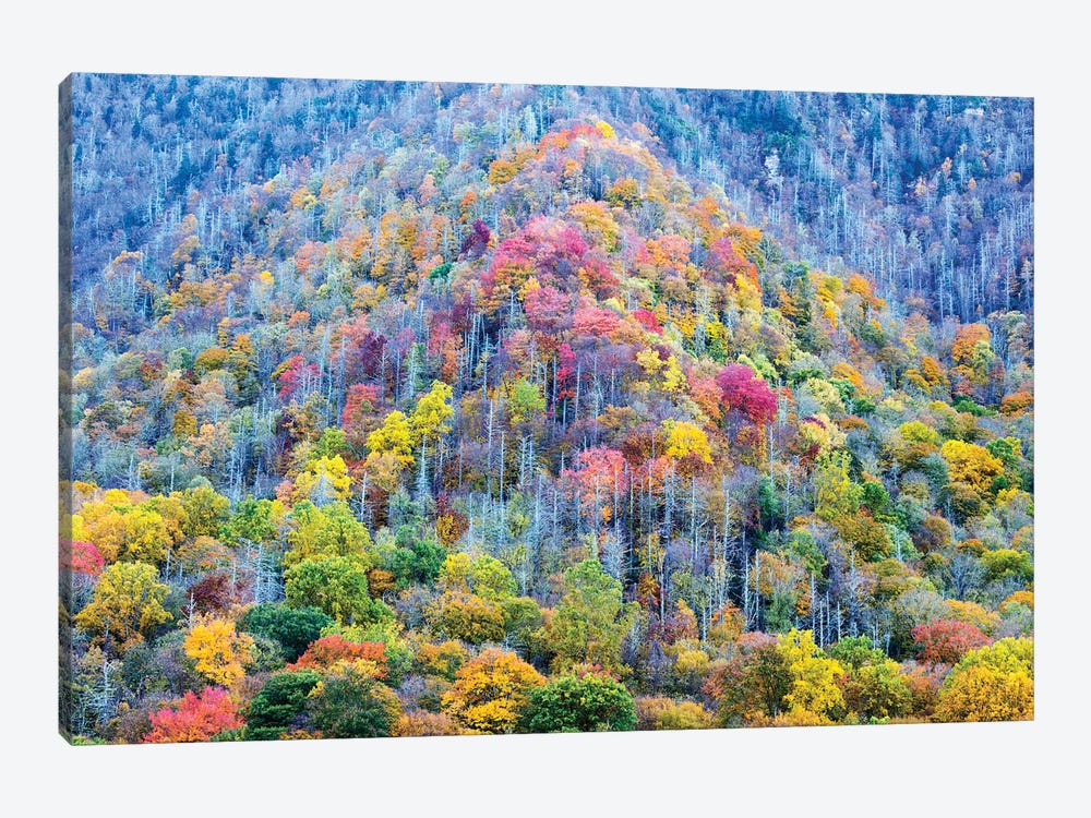 Colorful Autumn Landscape, Great Smoky Mountains National Park, Tennessee, USA by Jamie & Judy Wild 1-piece Canvas Print