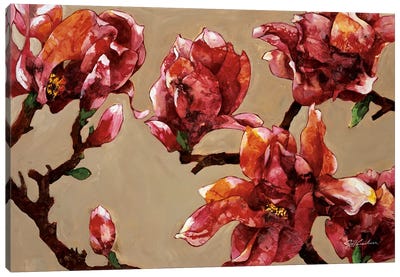 Elegant Magnolia Canvas Art Print